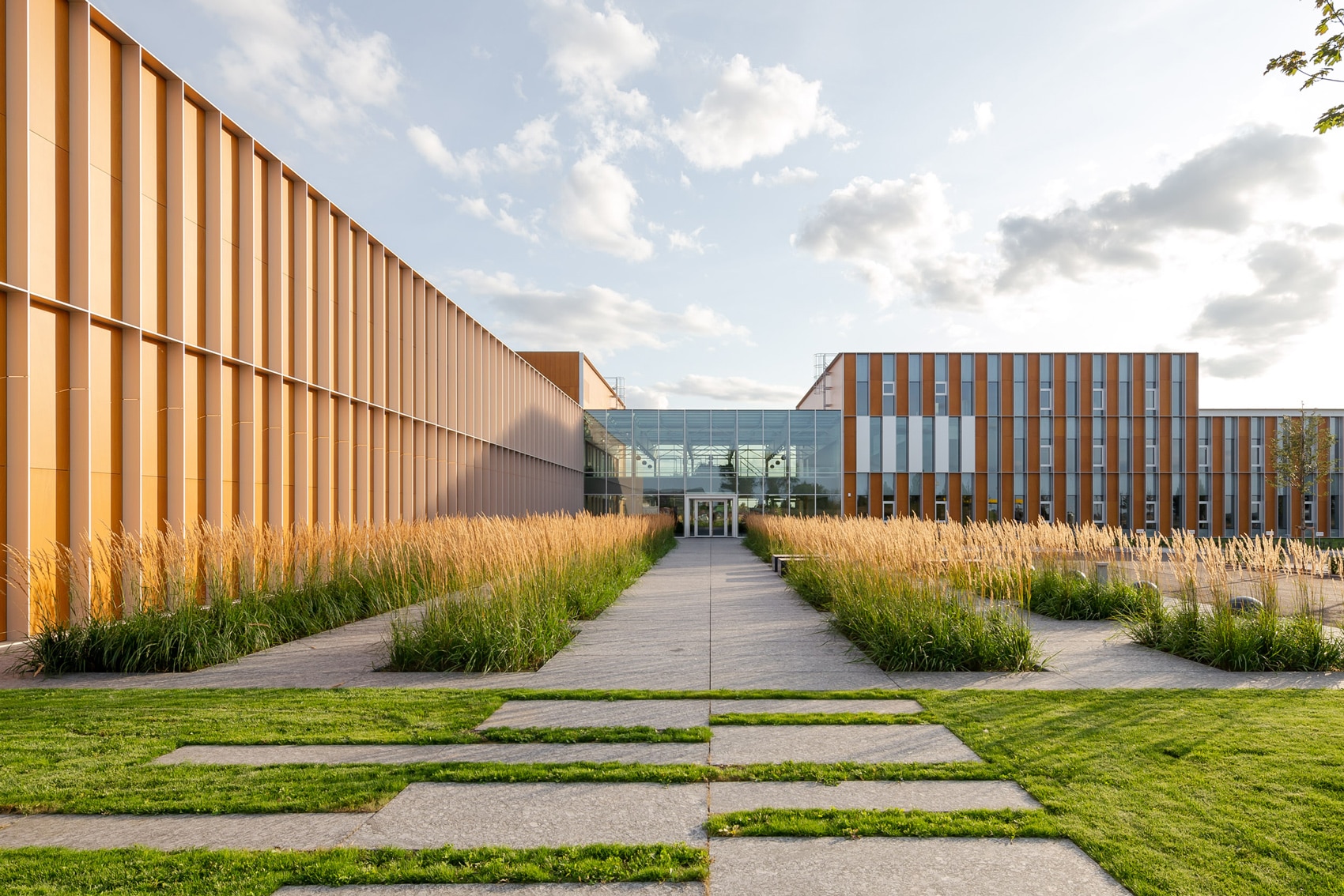 Prodema Pale wood cladding in the University of Sydney Faculty of Law by FJMT