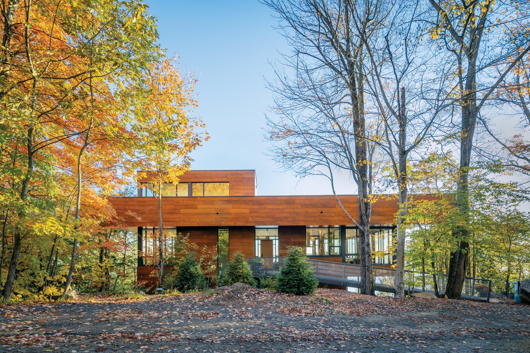 prodema rustik wood baysville cottage wallman architects 02 1