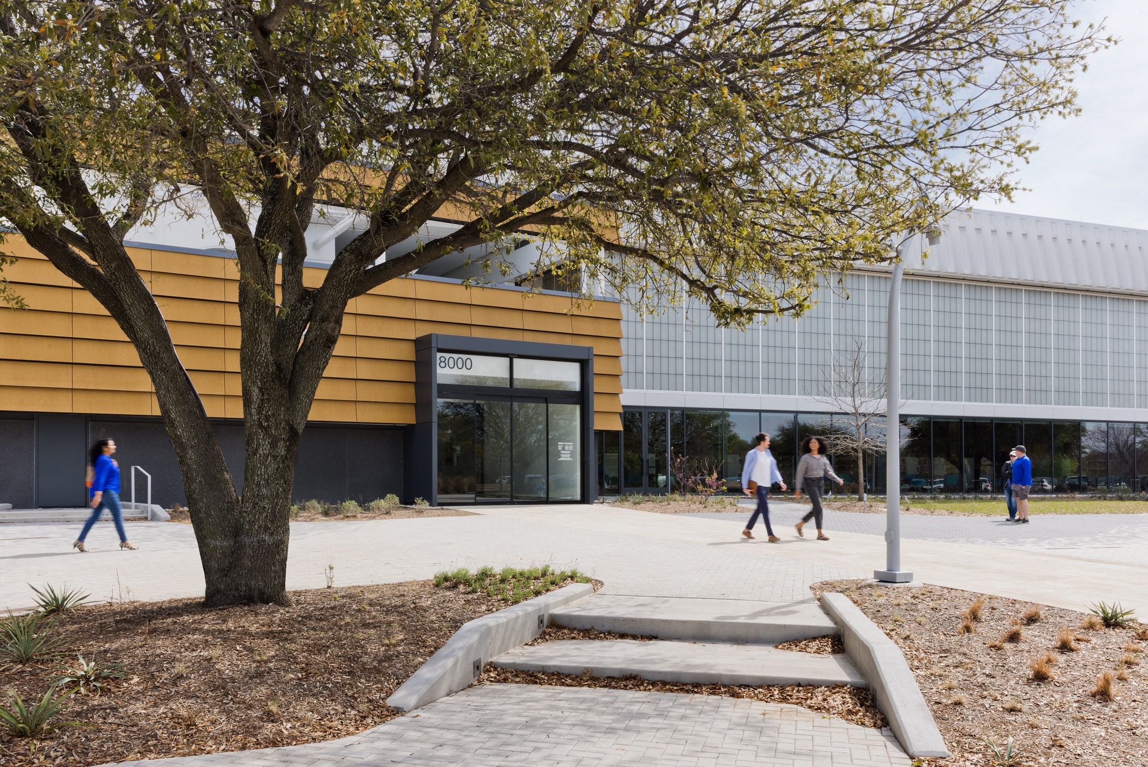 Revestimiento HPL Parklex Prodema con textura de madera natural en Mustard en la Biblioteca Pública de Frisco por GENSLER.