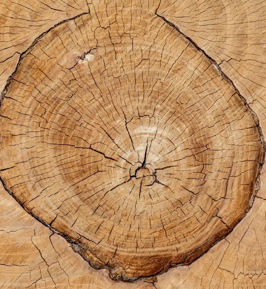 Sustainable and certified wood