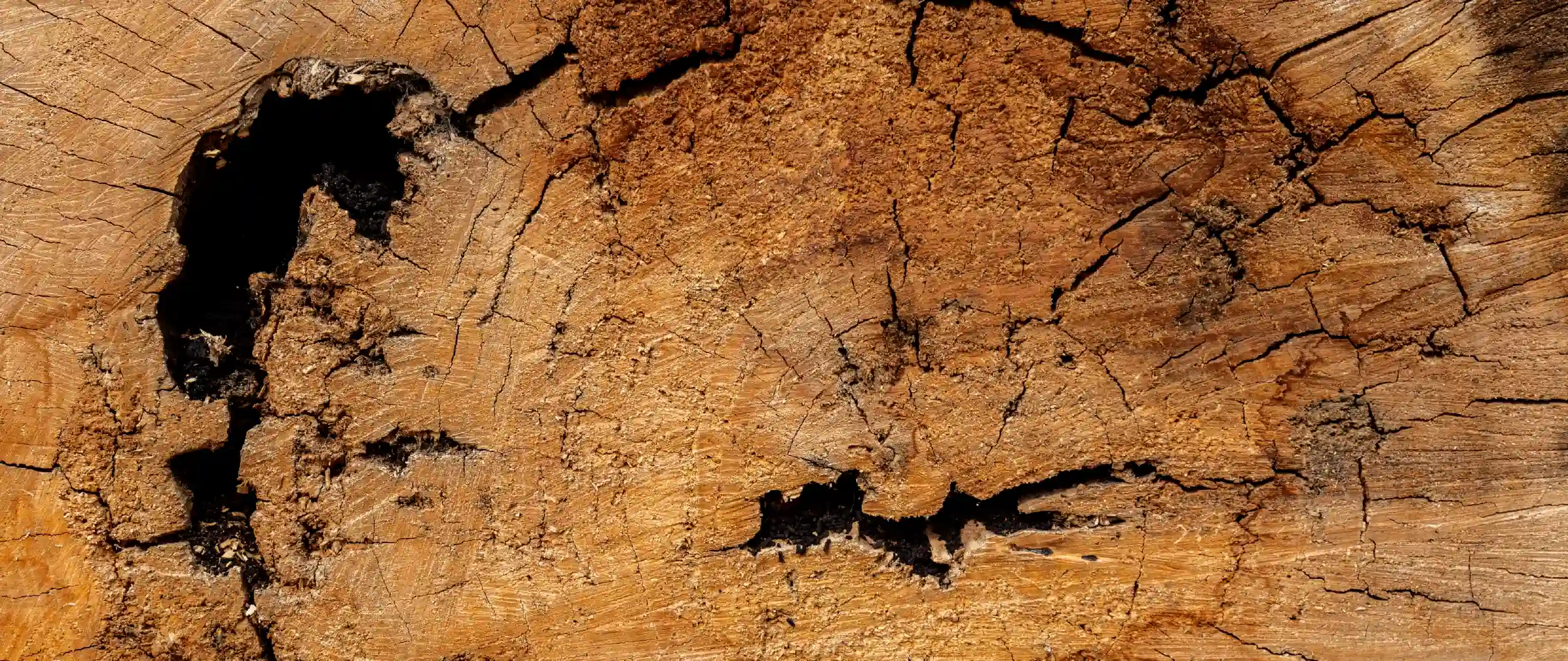 madera natural en interiores sin mantenimiento