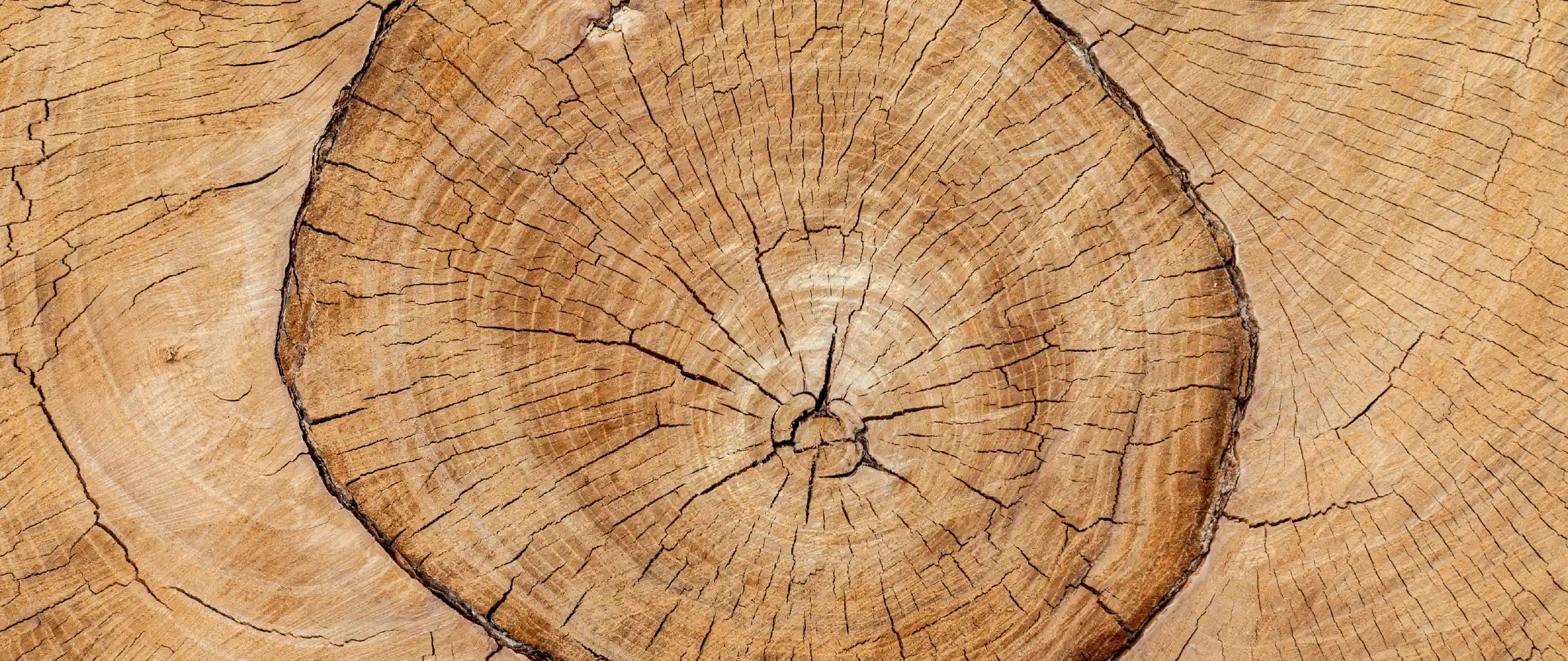madera natural para suelos de interior sin mantenimiento
